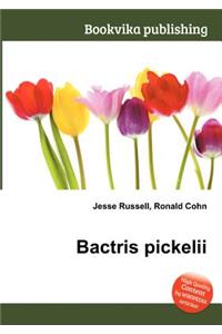 Bactris Pickelii