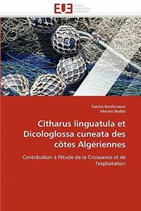 Citharus Linguatula Et Dicologlossa Cuneata Des C�tes Alg�riennes