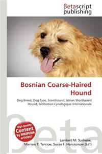 Bosnian Coarse-Haired Hound