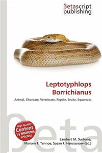 Leptotyphlops Borrichianus