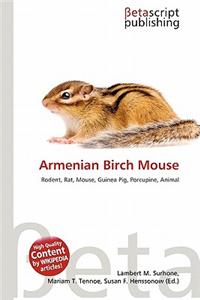 Armenian Birch Mouse