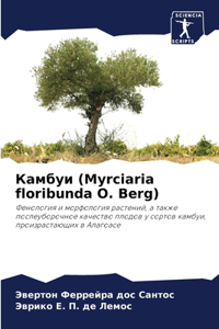 Камбуи (Myrciaria floribunda O. Berg)