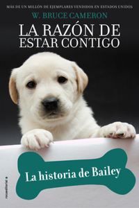 Historia de Bailey / Bailey's Story