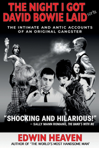 The Night I Got David Bowie Laid (Sorta)