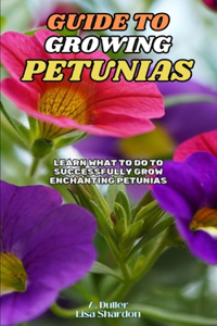 Guide to Growing Petunias