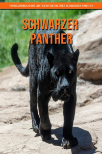 Schwarzer Panther