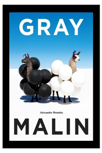Gray Malin