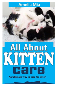 All about Kitten Care