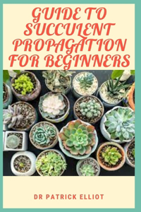 Guide to Succulent Propagation For Beginners