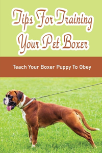 Tips For Training Your Pet Boxer