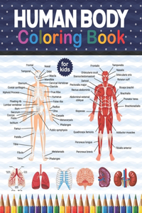 Human Body Coloring Book For Kids