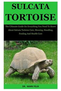 Sulcata Tortoise