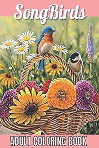 SongBirds Adult Coloring Book