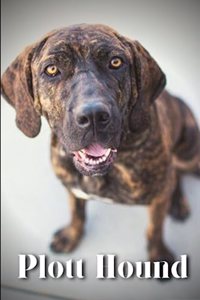 Plott Hound