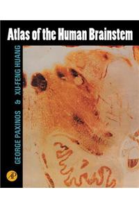 Atlas of the Human Brainstem