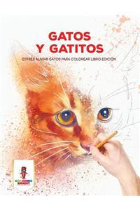 Gatos Y Gatitos