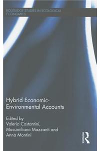 Hybrid Economic-Environmental Accounts