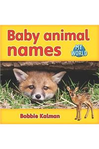 Baby Animal Names