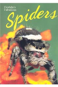 Florida's Fabulous Spiders