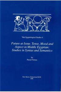 Future at Issue: Tense Mood and Aspect in Mid-Egyptian Studies