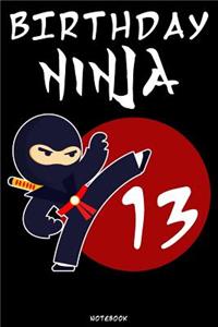 Birthday Ninja 13