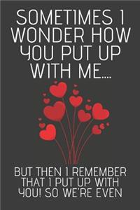 Sometimes I Wonder How You Put Up With Me