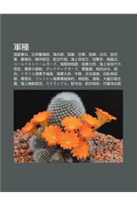 J N Zh Ng: Guo Ji Xian B Ng, Yan an J Ng Bei DUI, H I B Ng DUI, H I J N, K Ng J N, Lu J N, Bu B Ng, Jiu Shi J N, Zhi Dan B Ng, J