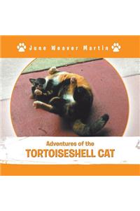 Adventures of the Tortoiseshell Cat
