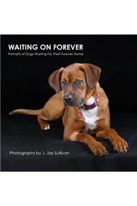 Waiting On Forever