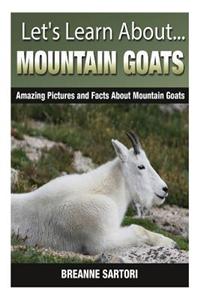 Mountain Goats