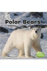 Polar Bears