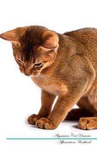 Abyssinian Cat Affirmations Workbook Abyssinian Cat Presents