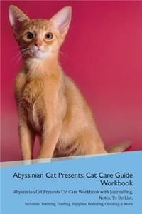 Abyssinian Cat Presents