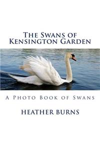 Swans of Kensington Garden