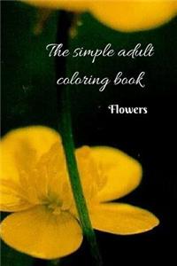 Simple Adult Coloring Book