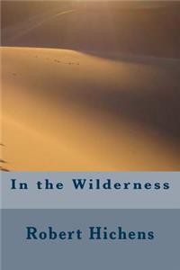 In the Wilderness