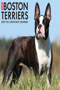 Just Boston Terriers 2021 Box Calendar (Dog Breed Calendar)