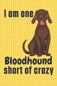 I am one Bloodhound short of crazy