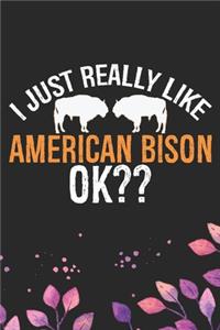 I Just Really Like American Bison Ok?