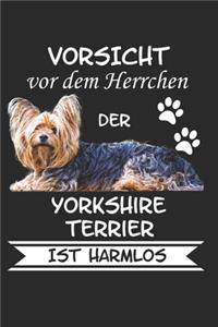 Vorsicht vor dem Herrchen der Yorkshire Terrier ist Harmlos