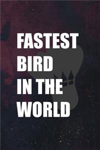 Fastest Bird In The World