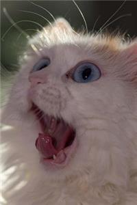 Turkish Van Cat Says, 