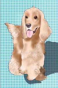 Cocker Spaniel