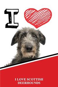 I Love Scottish Deerhounds