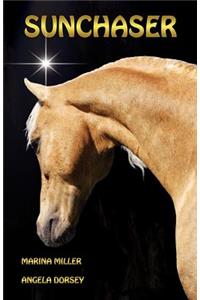 Sun Chaser