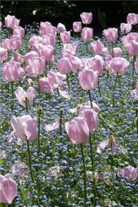 Tulips Notebook