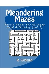 Meandering Mazes