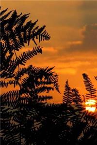 Sunrise Notebook