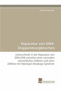Reparatur Von DNA-Doppelstrangbruchen