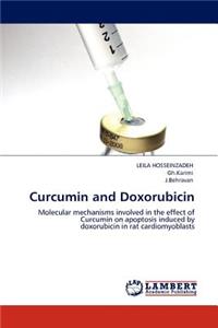 Curcumin and Doxorubicin